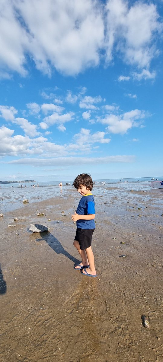 HXWorcester's tweet image. Greetings from #Oxwichbay Zander loving his time on the beach.  Where are you today #Worcestershirehour ?
