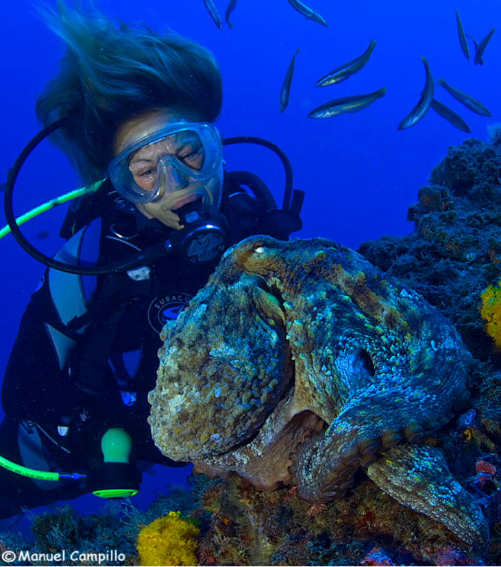 ⛴️Hoy te proponemos salir de la rutina. ¿Cómo? Adentrándote en el fondo marino con Buceo La Herradura. Una empresa ubicada en nuestro puerto y especializada en buceo y actividades subacuáticas. Vive una experiencia diferente debajo del mar.
ow.ly/yDIF50FKToJ