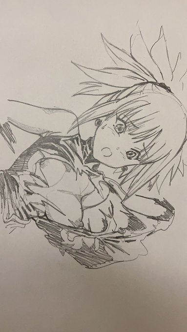 しゃどうれでぃい 