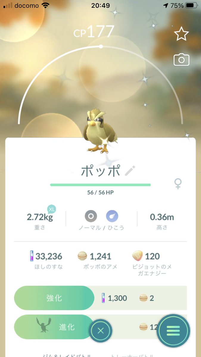 ポケモンgo ピジョンの色違い 入手方法と実装状況 攻略大百科 ポケモンgo ピジョンの色違い 入手方法と実装状況 攻略大百科