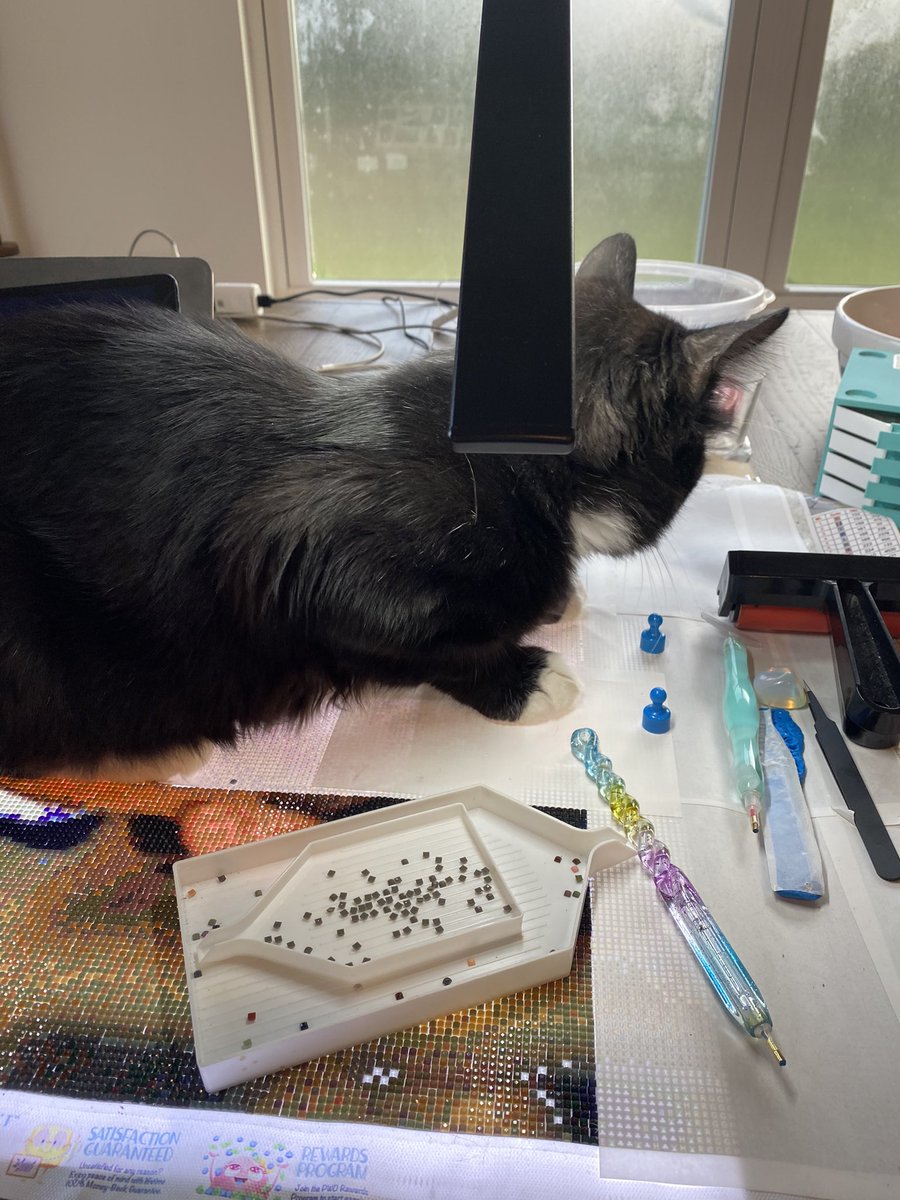 SjSrwillis06's tweet photo. I’m trying to work here Oreo!! #SupervisorCat Inspecting my work again!! 😂 #SPNFamily https://t.co/Bvpuapy4rb