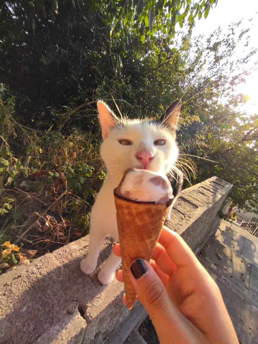 nilüfer 🌱 (@hunnykoko) on Twitter photo 