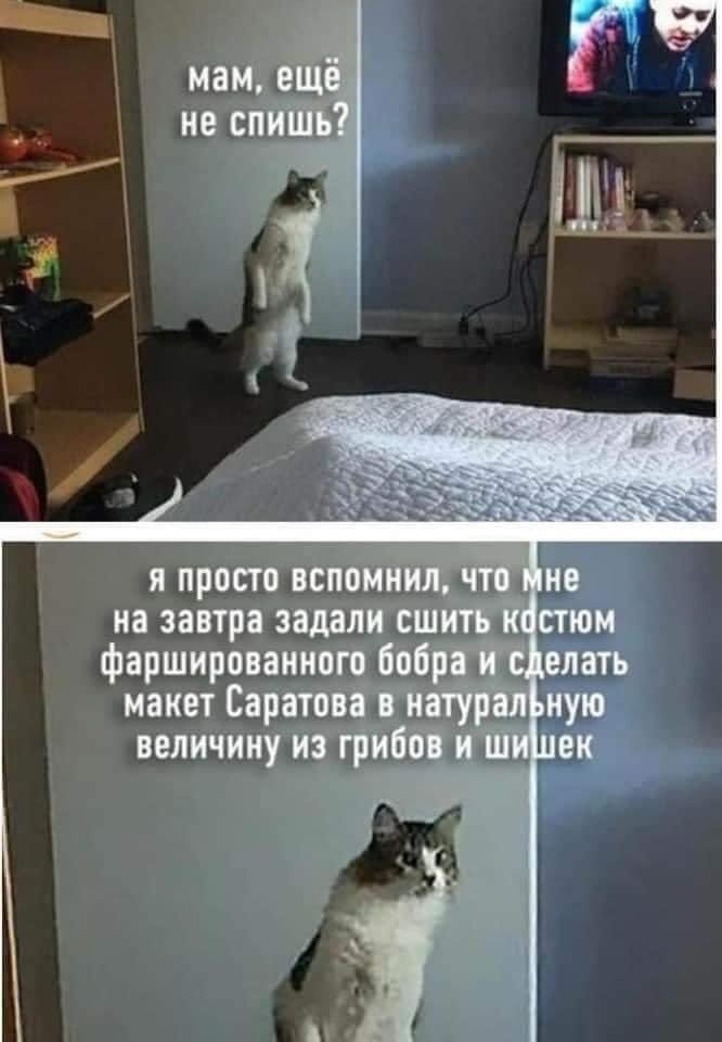 Mostcus's tweet photo. https://t.co/SRsJv77Gmb