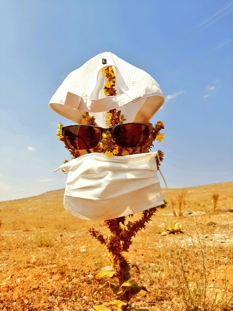 citizenoff's tweet photo. #photooftheday #photography #photooftheweek #photooftoday #cool #backwardhat #adidas #adidassuperstar #SummerTime #scarecrow #inthetimeofcorona #corona #covid_19 #vaccinated #selfie #selfietime #anatolia #anatolianshepherd #steppe #stepper https://t.co/s9IshufCHK
