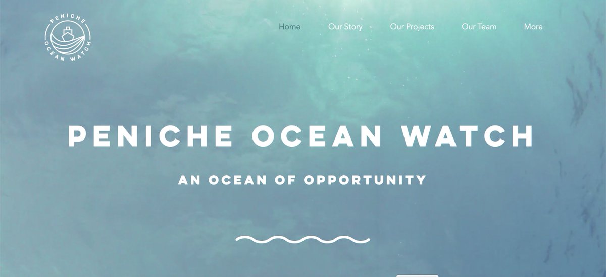 Lots happening with developing our blue #circulareconomy model at #penicheoceanwatch: bit.ly/3BbZfdm #oceantech #ocean #SDGs #3dprinting #AI #drones #blockchain #portugal