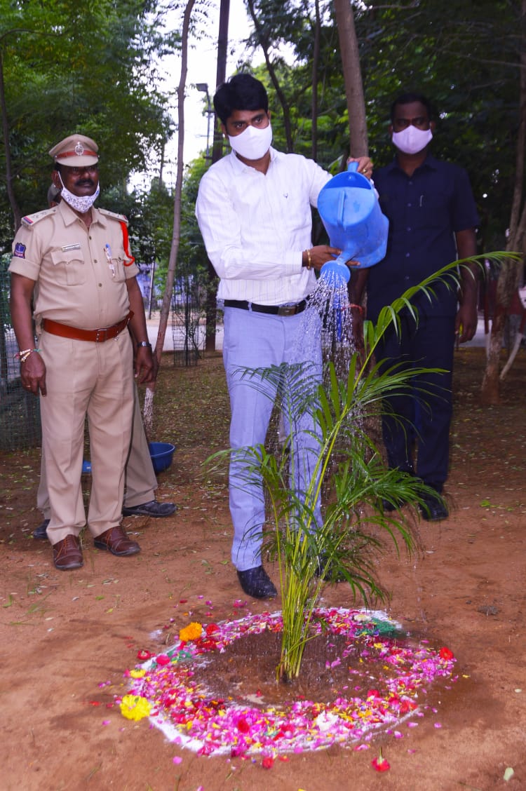 I've accepted #HaraHaiTohBharaHai #GreenindiaChallenge 
Planted 3 saplings. Further I am nominating <a href="/Collector_MBNR/">Collector Mahabubnagar |Viziendira Boyi IAS</a> <a href="/Collector_MDK/">Collector & District Magistrate, Medak</a> <a href="/Collector_JGN/">District Collector & Magistrate Jangaon</a> 
to plant 3 trees &amp; continue the chain special thanks to @MPsantoshtrs garu for taking this initiative.
<a href="/TelanganaCMO/">Telangana CMO</a>.