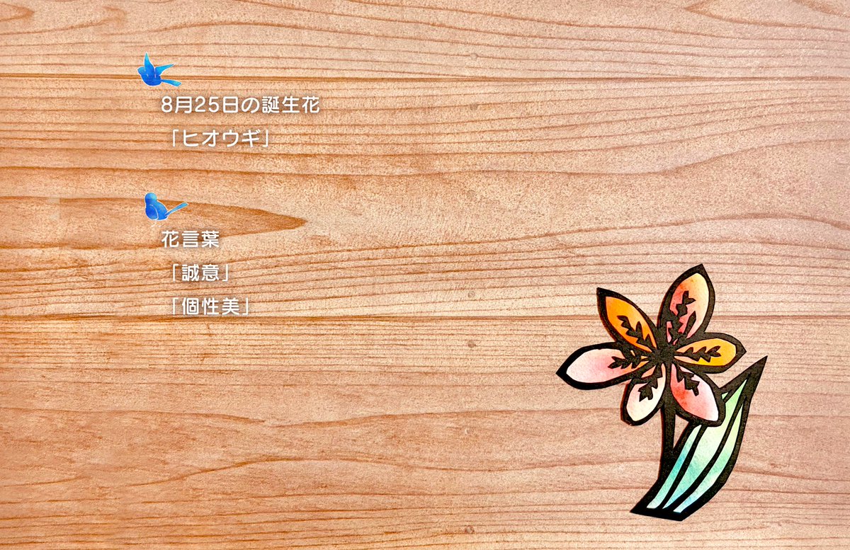 ふわりん にひゃくよんじゅうりんめ 8月27日の誕生花 ホウセンカ を切りました 花言葉は せかっち 触れないで 心を開く です 本日がお誕生日のフォロワー様 いらっしゃいましたら おめでとうございます ﾉ 図案