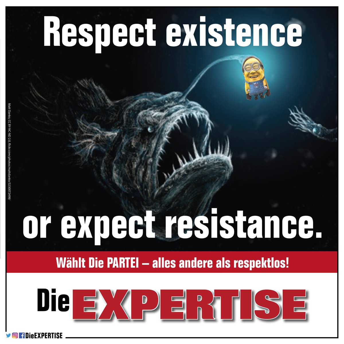 Die EXPERTISE tweet media