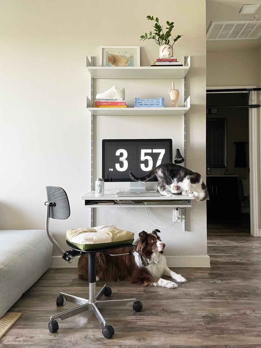 Woof…Meow. Ahead of ‘International Dog Day’ tomorrow, here’s a photo of Kai the dog (and let’s not ignore Winston the cat) modelling a neat 606 home workstation – kindly sent in by their owner Tom Huynh in Dallas, Texas. Plan your #vitsoe home-office at: https://t.co/S2GkH7Cx7a https://t.co/tCvsn0DNsQ