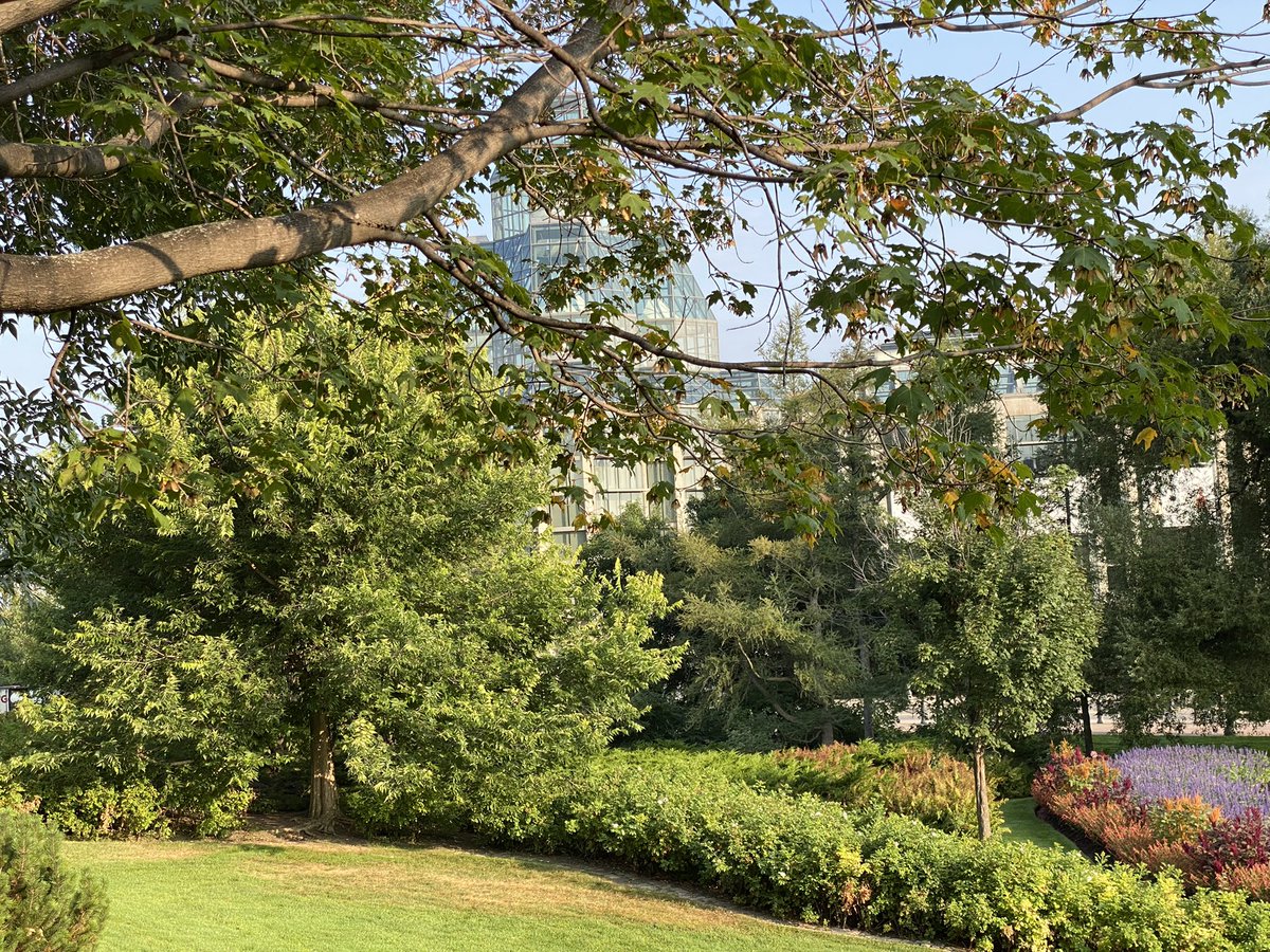 Tom Morris tweet media