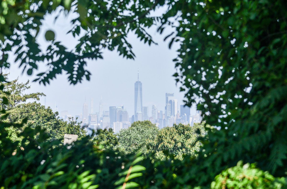 View from through the canopy of the trees of the Manhattan skyline