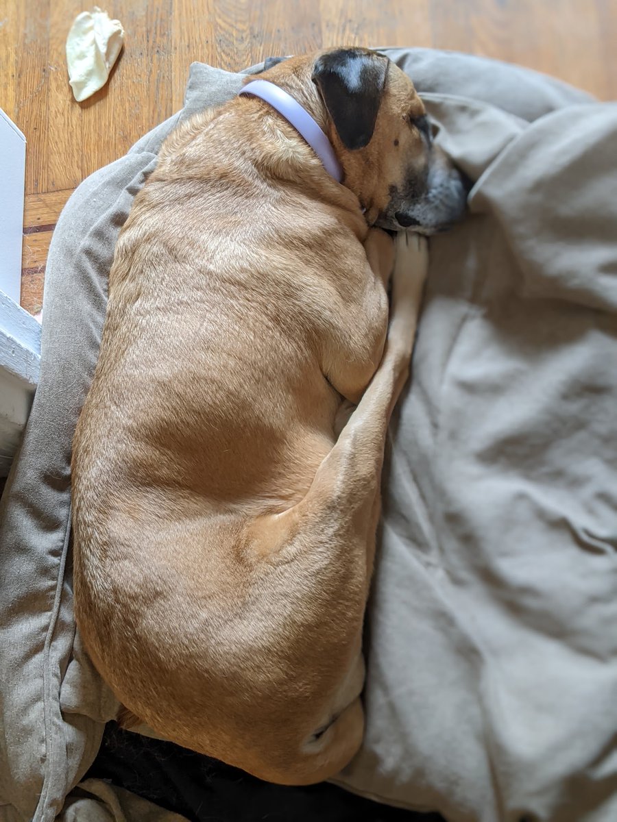SukieTweets's tweet photo. The legs are the long. https://t.co/g8WVubKT3p