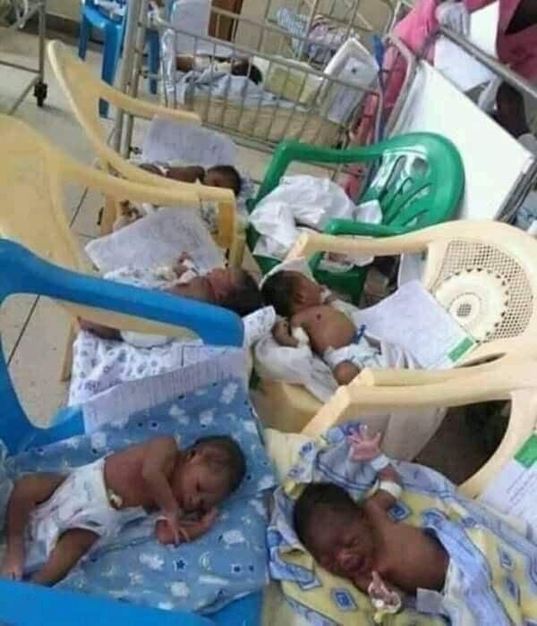AMobebissi's tweet photo. Ce sont les nouveaux nés à l'hôpital Adolphe Cissé à Pointe-Noire.
Par manque de lits les bébés sont placés sur des chaises en plastique.

Eric MAMPOUYA https://t.co/3pI9cgwuPS
