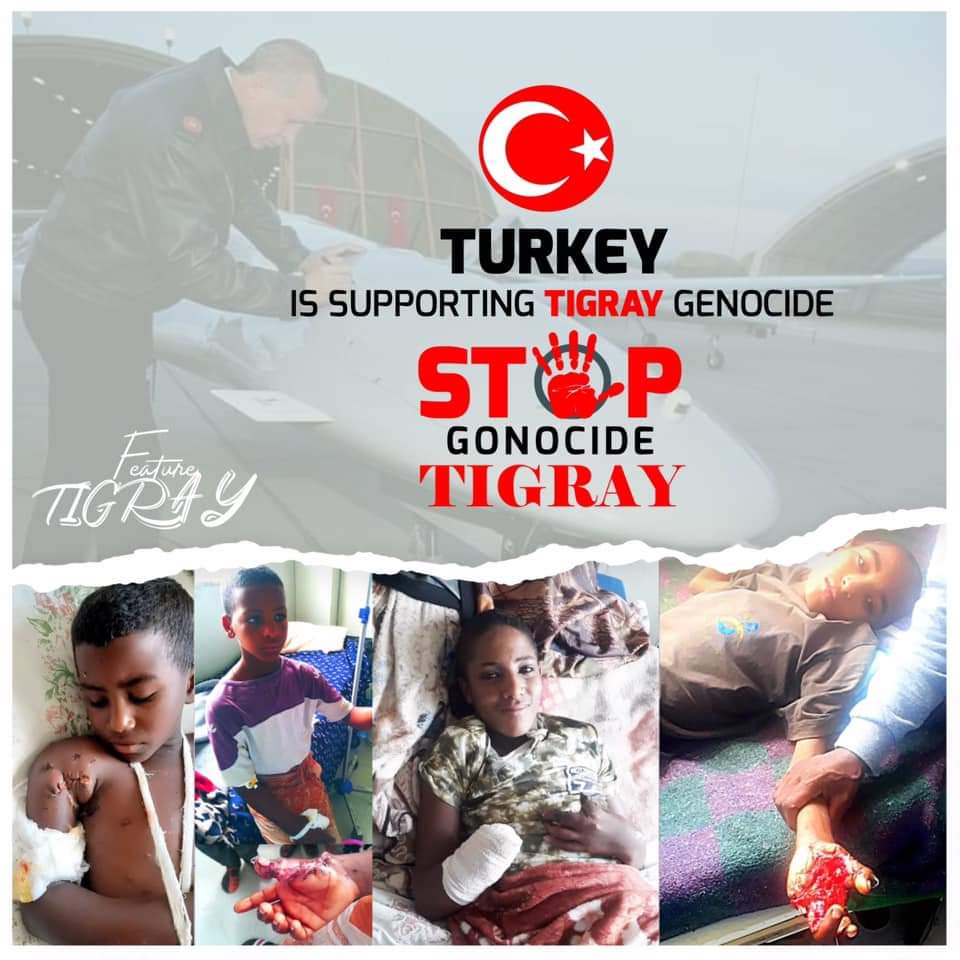 EdenGmeskel's tweet photo. #Turkey, a member of #NATO is participating in the #TigrayGenocide. Turkey made drones arrived in #Ethiopia, credible sources confirmed .@SecBlinken @USUN @NATO @MFATurkey @trpresidency we urge the #TurkeyGovernment to refrain from this act https://t.co/P5apTluQ3s