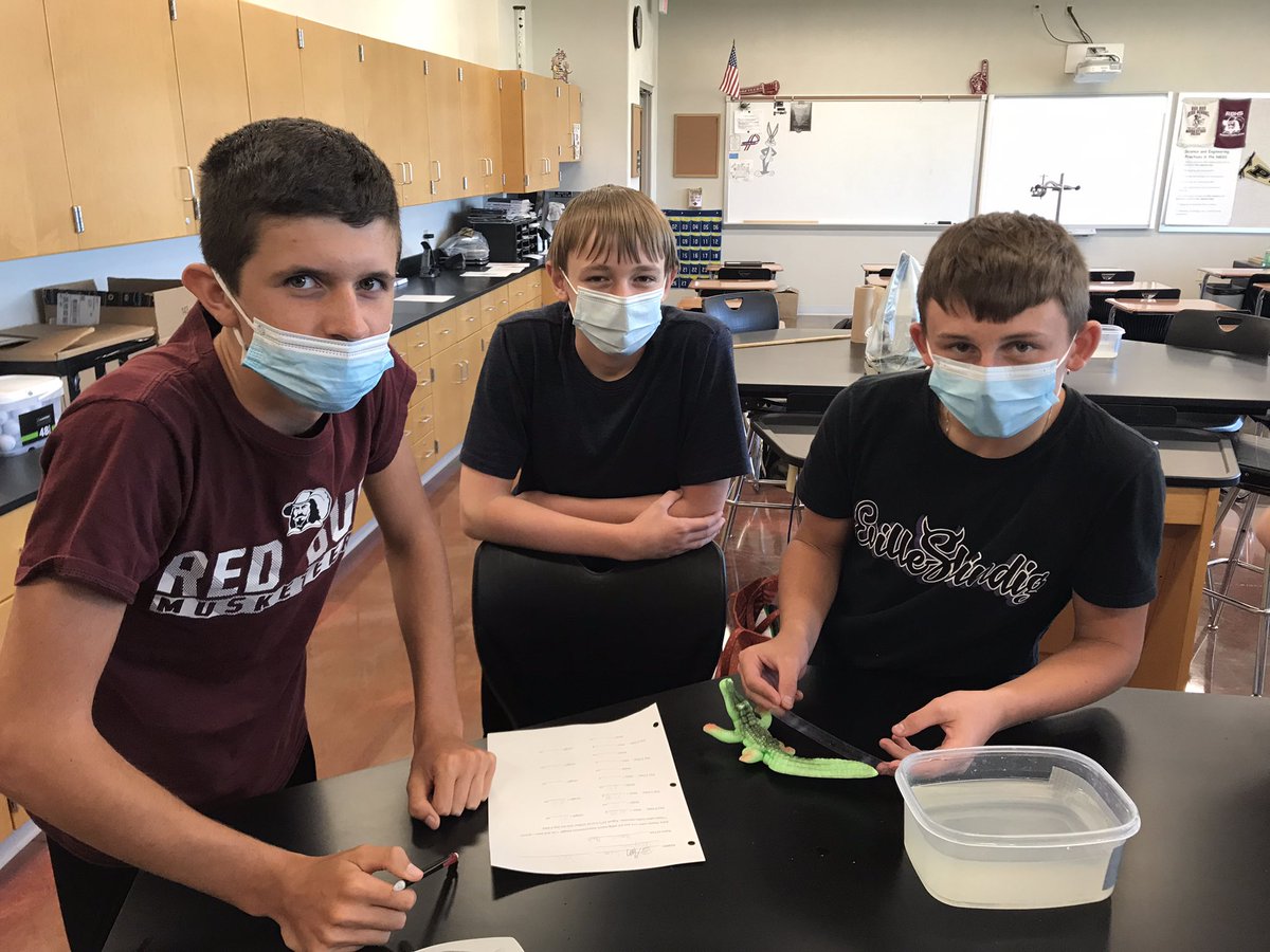 RBHS biology 1 students taking measurements of their “critter” that is growing this week. Studying lab techniques with real world “Growth Over Time” concept. Math in science!! #rbhs132 #redbudscientists