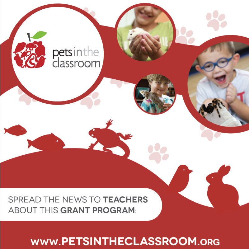 Pets in a Classroom on Twitter "Do your teacher friends know about us