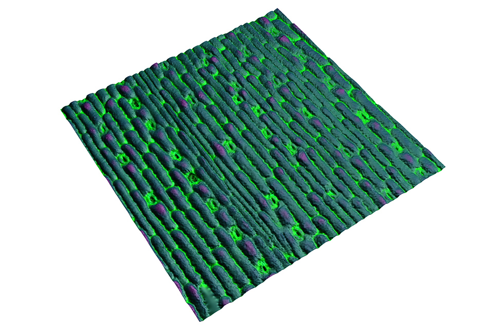 Researchnewscc's tweet image. New imaging, machine-learning methods speed effort to reduce crops' need for water #imaging #machinelearningmethods #crops #water #research #newspaper
Read more about this here: ow.ly/YgxJ50FY3rJ
Subscribe for free to ResearchNews Newsletter: researchnews.cc/index.asp?int_…