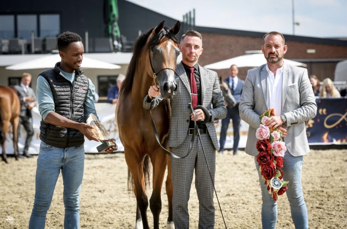 مربط الوطن لمالكه / فهد بن سلطان بن حثلين 
يحقق ميداليتين فضيتين في هولندا

بالمهره  ( جنوفيا الوطن )
و المهر  ( باندورز ) 

في بطولة ARABIAN HORSE WEEKEND 2021 .