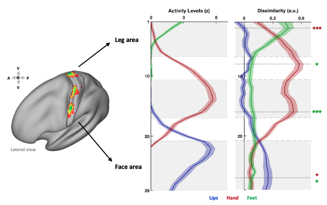 Plasticity Lab tweet media