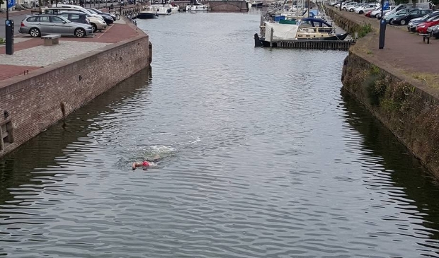 RT <a href="/M_burgseBode/">Middelburgse & Veerse Bode</a>: Deelnemers Rotterdam Swim zwemmen voor grachtenschoonmaak in Middelburg -  internetbode.nl/regio/middelbu…