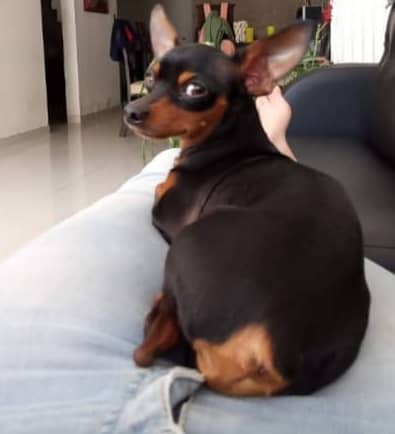 almao123's tweet photo. Se busca.  04244561720 https://t.co/auWpu9wJl6