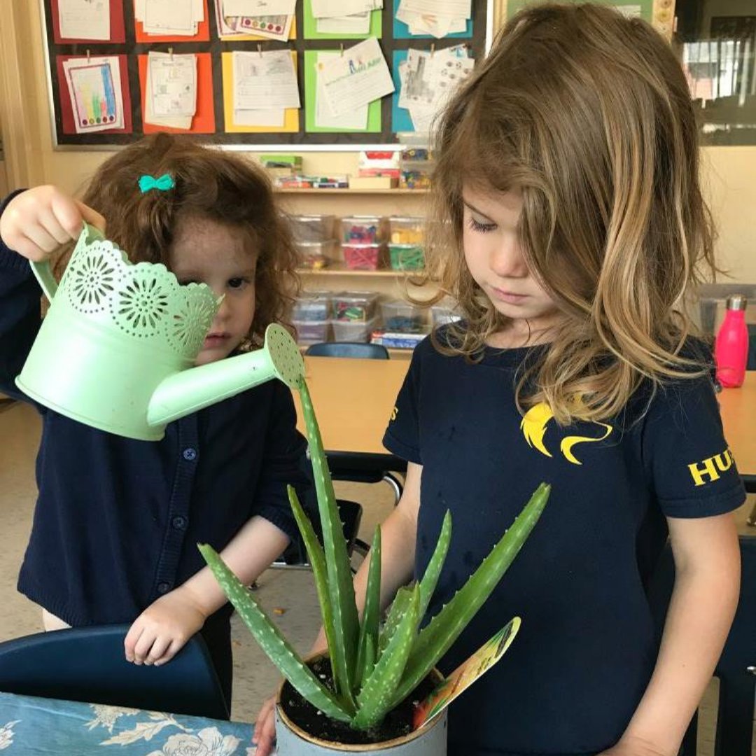 Happy #WayBackWednesday! Check out this photo from 2017 when our kindies learned about plants. The SK’s and JK’s explored differences and similarities in plants. They even learned about the parts of a plant, how to plant seeds, and the plant life cycle! 🌺
#Kindies #HudsonCollege