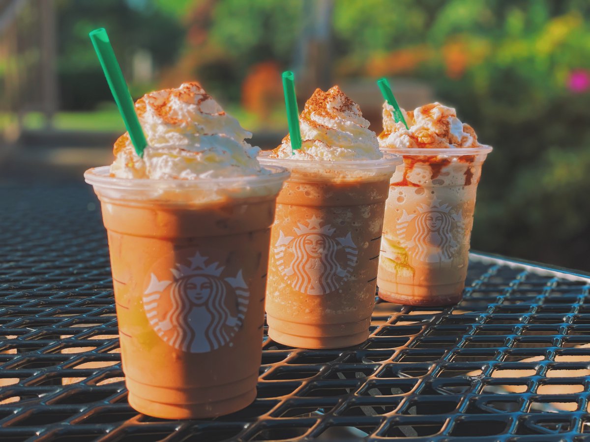 UNA_Dining's tweet photo. Let's give them pumpkin to talk about! Fall drinks have arrived at Starbucks ๐๐ #PumpkinSpice #PumpkinSzn #UNADining https://t.co/KgdxUmn65f