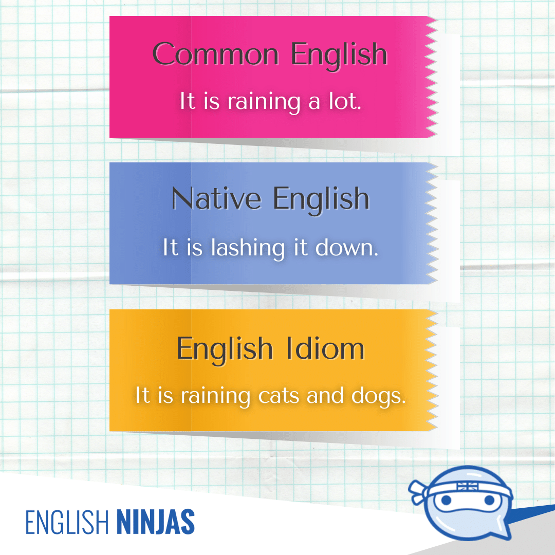 engninjas's tweet photo. Pick your sentences and think as a native speaker! ✌ https://t.co/IUM2BOhx4E