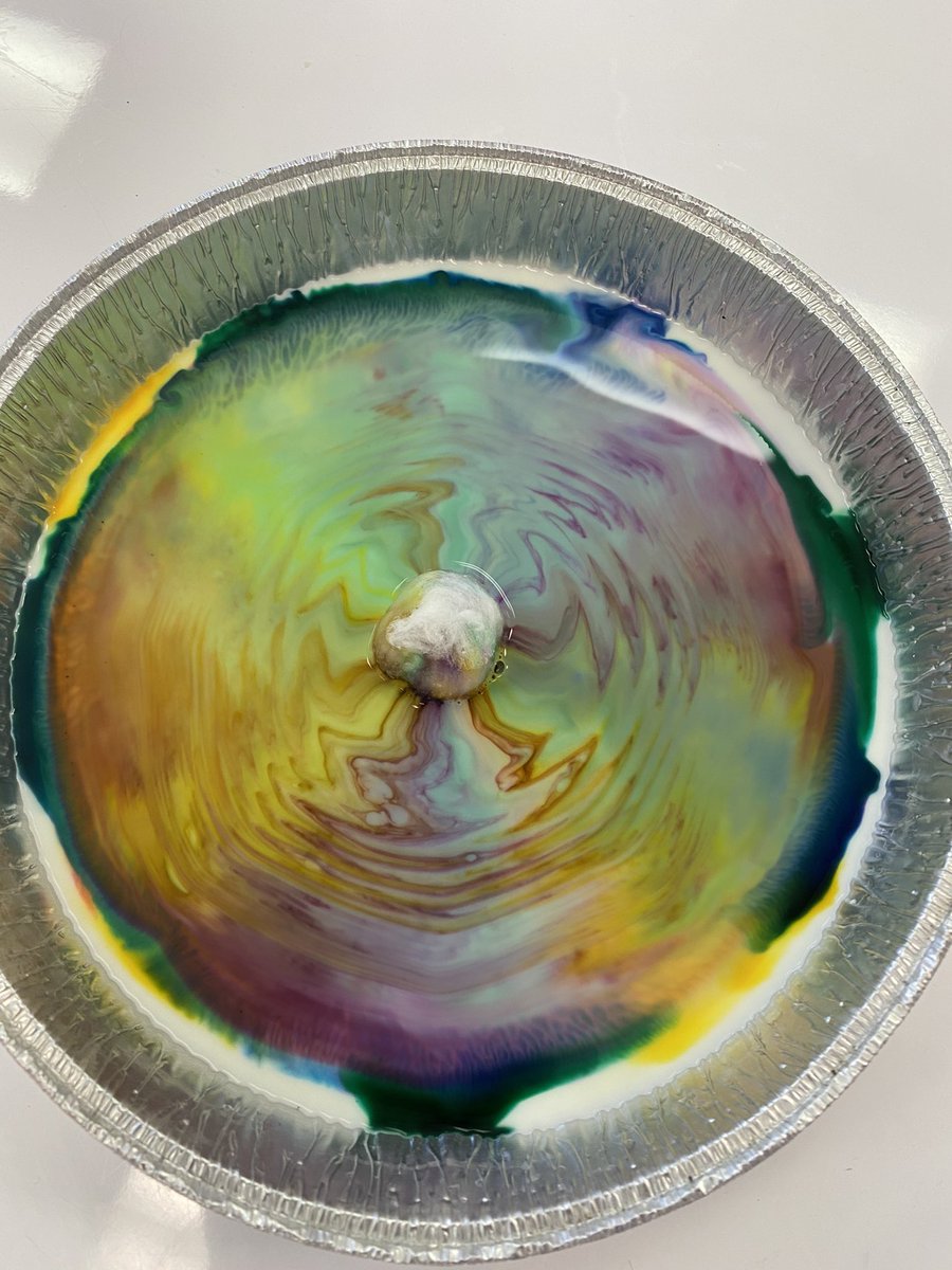 STEAM at TCES! tweet media