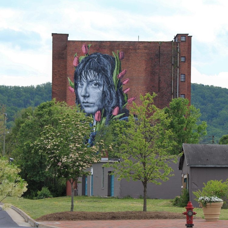 Imagine the built environment as a #StreetArt canvas. The Virginia Street Art Festival (VSAF) will be held this weekend in <a href="/VisitWaynesboro/">Visit Waynesboro VA</a> - here are a few of the murals you'll see. If you miss the festival, you can take the self-guided walking tour #placemaking #Art #design