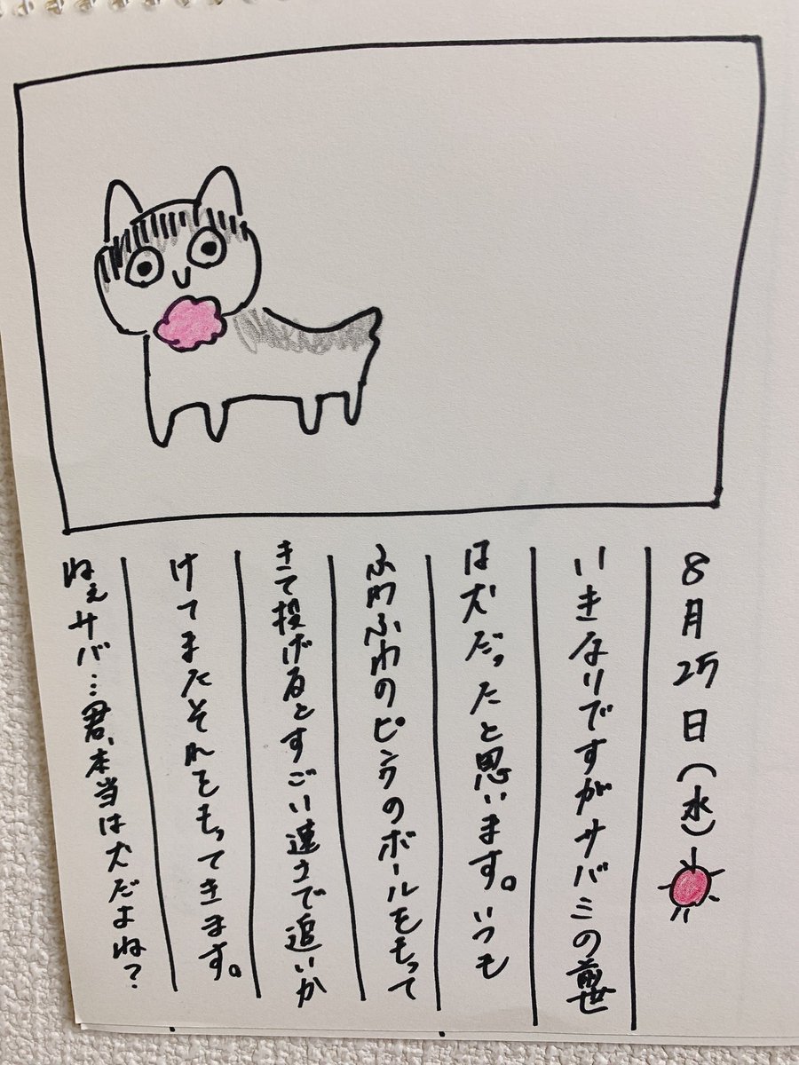 謎」 野放し 040