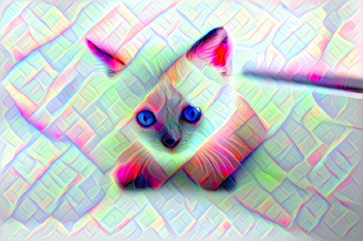 fetchdeepdream's tweet image. Cat