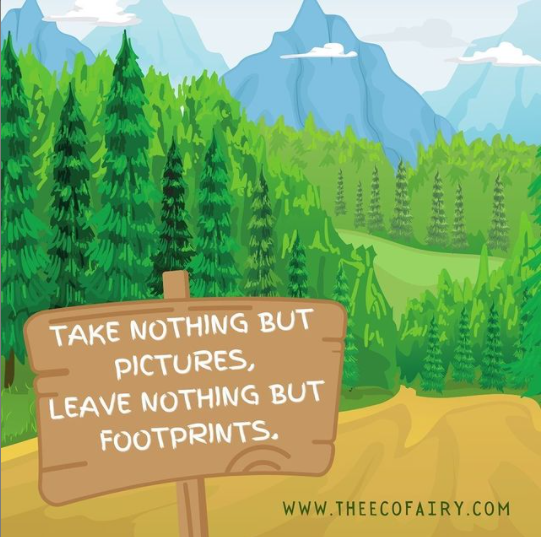 MyEcoFairy's tweet image. When travelling… do you think about the environmental footprint you’re leaving behind?

Travelers need to be aware of how their travel choices affect the world around us.

Read more 🔻🔻🔻
theecofairy.com/blogs/news/how…

#sustainabletravel #preservethefuture #naturelover #protectnature