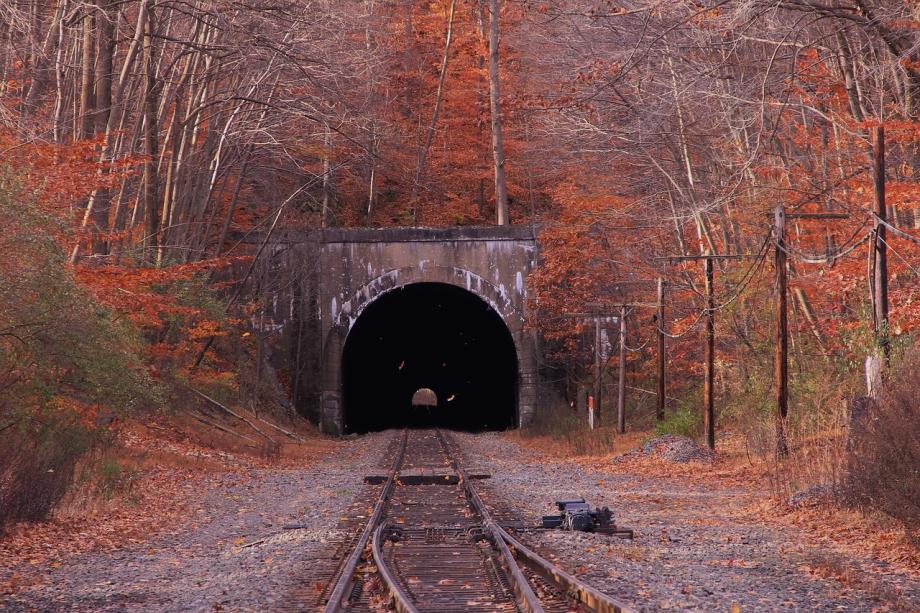 lcaduff's tweet image. Searching for leads seems like your going in a  tunnel? Get the right lead finder. Any niche! Licenses are limited!

#boats #planes #realestate #reputation #lead generation #fun #social media
#travel