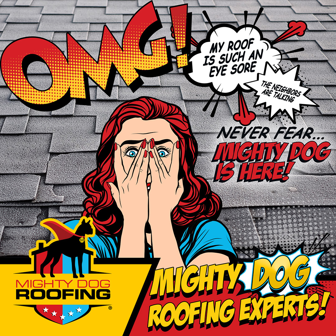 𝐌𝐢𝐠𝐡𝐭𝐲 𝐑𝐨𝐨𝐟 𝐑𝐞𝐩𝐚𝐢𝐫
Mighty Dog Roofing has the knowledge and industry expertise to provide the best and reliable residential roofing services in your area. We can install, repair, and replace the roof of your home.
#mightydogroofing #roofreplacement #roofrepair
