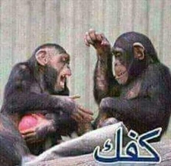 ‏‎خويلد𓅂 tweet media