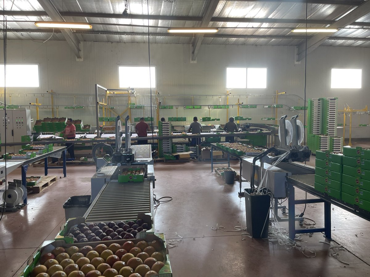 Patrick Vignal tweet media