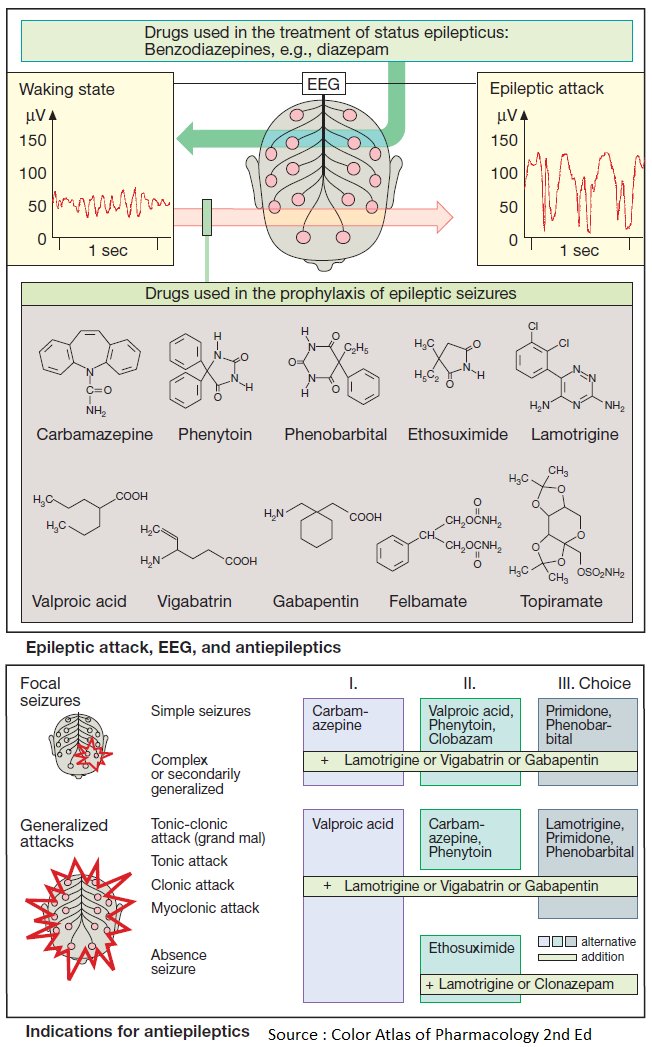 Drugs used in the Treatment and Prophylaxis of Epilepsy (Antiepileptics)

-- Read More about Antiepileptics :

👉 manualofmedicine.com/topics/pharmac…

#meded #foamed #medtwitter #pharmacology #Epilepsy #neurotwitter