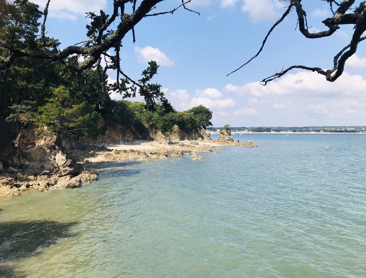 LedreinEddie's tweet photo. C’est un petit paradis ce GR34 qu’il faut tous parcourir au moins une fois !
#LePlusBeauSentier 🇫🇷
#Bretagne 
#caraibesbreton #paradis #vacances #soleil #baieconcarneau #beigmeil https://t.co/OITzzuEM6o