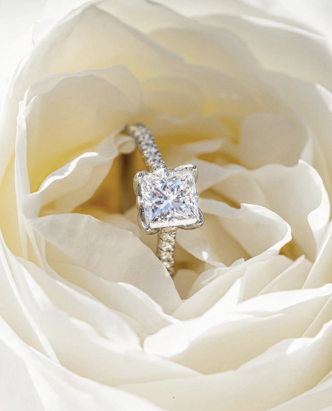Nungu Diamonds on X Nungu Diamonds provides a unique offering to clients looking for a bespoke diamond experience. From choosing the perfect diamond to designing a one of kind jewellery piece to suit ...
