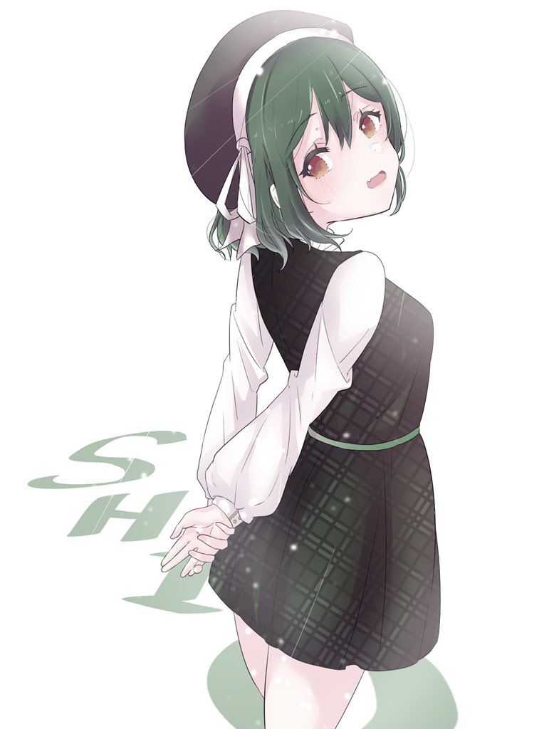 1girl hat dark green hair beret solo dress green hair  illustration images