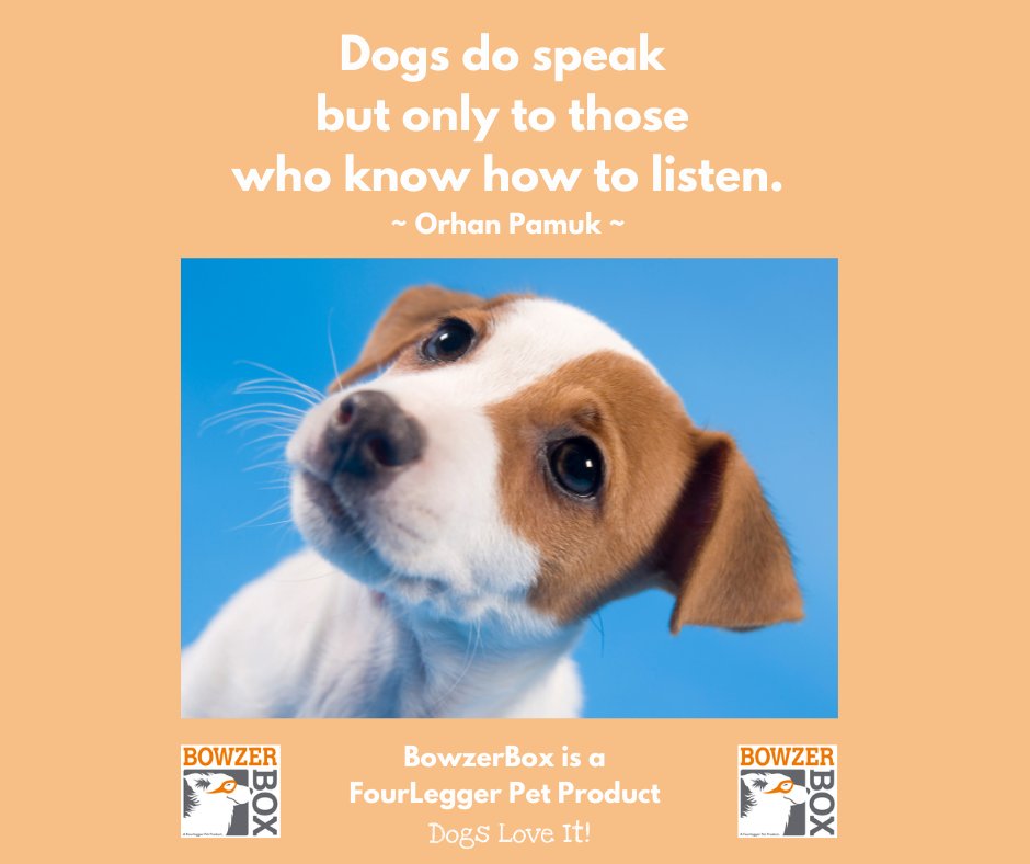 FourLeggerBox's tweet image. Dogs DO speak but only to those who know how to listen. 
#BowzerBox #FourLegger #DogBox 📦 Dogs Love It!