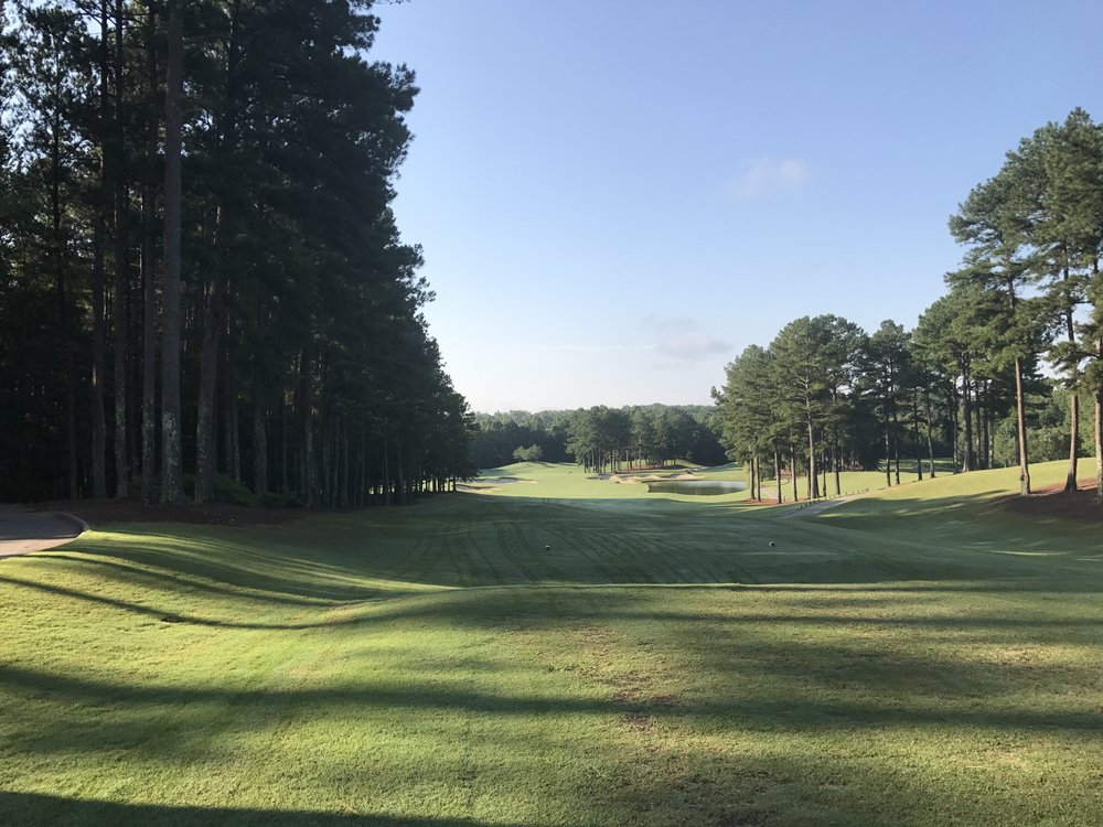 The Frog Golf Club tweet media