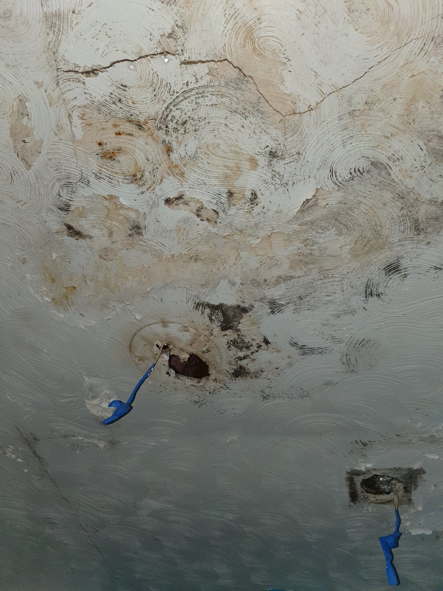 Sherry Poppy Owen tweet media