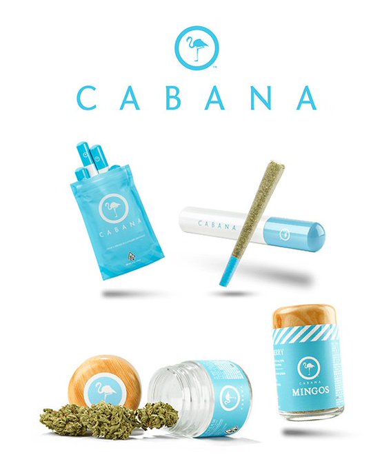 blumholdings's tweet photo. We've already identified some key initiatives for this store. I'm excited for what's to come. Additionally, removing almost all of People's corporate expenses from the P&amp;L will be a nice bump for the store's bottom line.

Not to mention... this is huge for our brands. https://t.co/QlfIPMUsny
