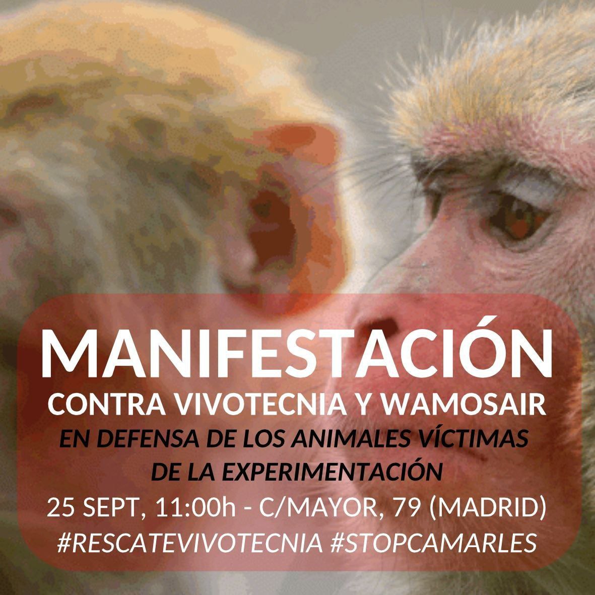 📢 MANIFESTACIÓN CONTRA VIVOTECNIA y WAMOSAIR 🐾

🔺️ Sábado, 25 de septiembre 
🔺️ Calle Mayor, 79
🔺️ Madrid 
🔺️ 11 h

#RescateVivotecnia #stopcamarles #Madrid #MadridVegano #derechosanimales #antiespecismo #activismo #stopexperimentacionanimal