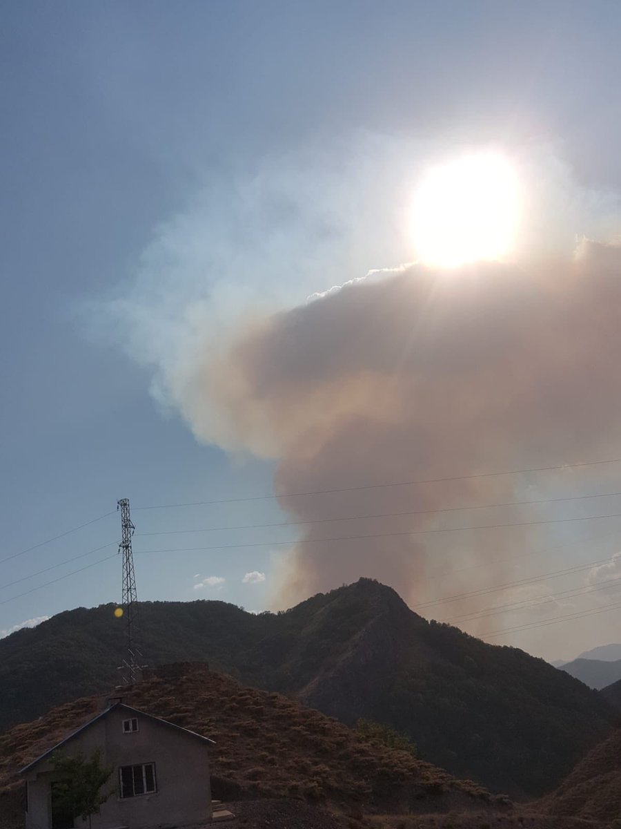 FatihMacoglu's tweet image. Dersim'in Hozat ilçesine bağlı Koçeri ve Taşbaşı mevkiinde bulunan ormanlık alanda yangın 8 gündür sürüyorken şimdi de Ovacık Halitpınar Köyü Tokmak Baba mevkiinde orman yangını başladığını öğreniyoruz. 

Ağaçların, kuşların, börtü böceğin sesini duymak bu kadar mı zor!