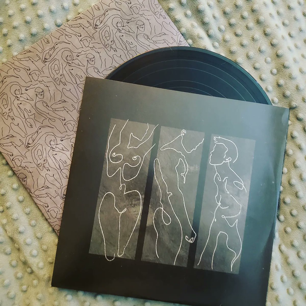 Winter_Kage's tweet photo. My @AFI Bodies vinyl came in today. It's pretty and was well worth the wait 🖤
#afireinside #afibodies #afi #vinylrecords https://t.co/ey8E0bigHk