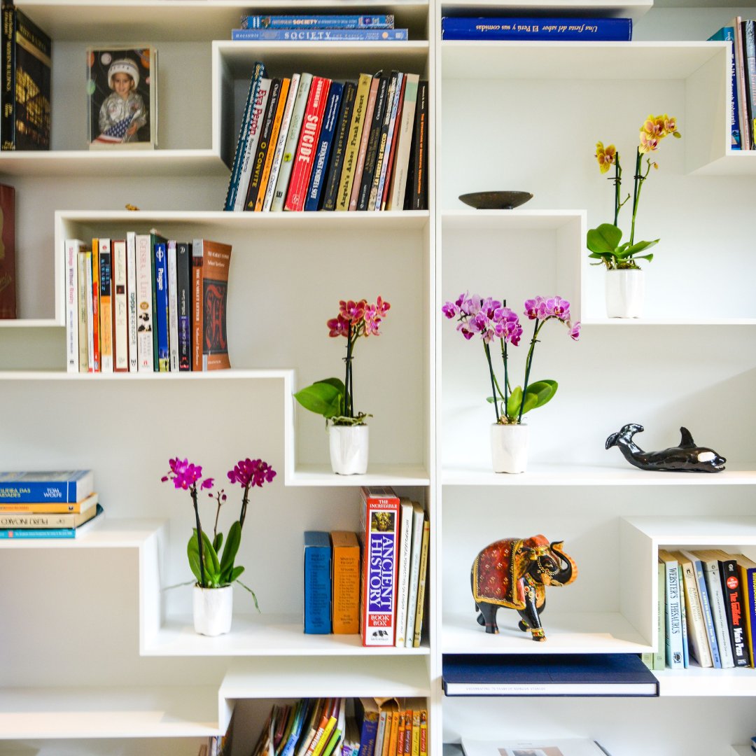 Taking care of orchids takes one step at a time 😊

For more Information visit our website at yourorchidquestions.com
 #orchidlover #orchidcollection