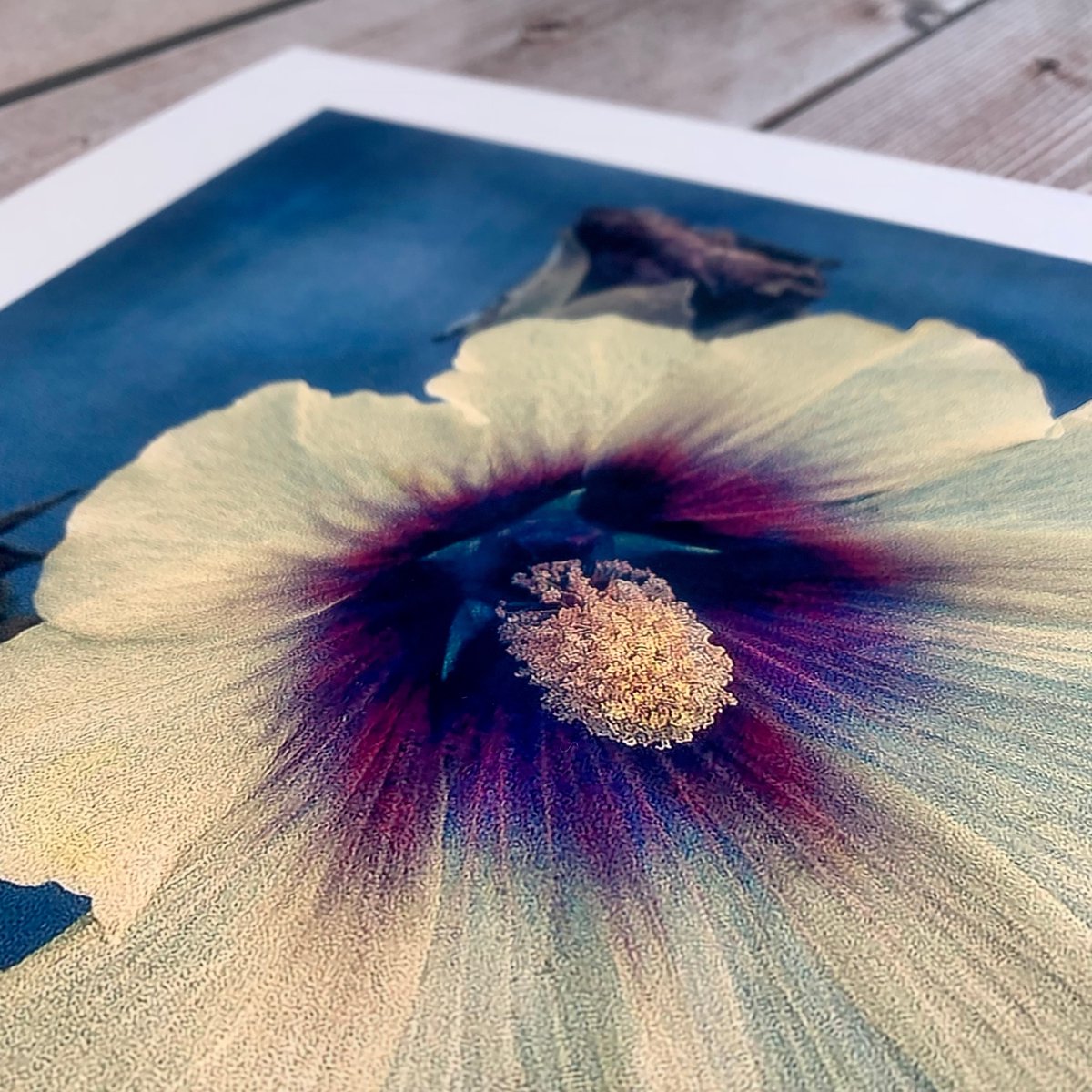 3030print tweet media